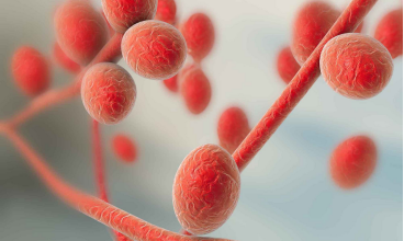Що потрібно знати про Trichophyton rubrum